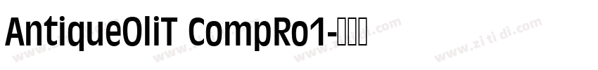 AntiqueOliT CompRo1字体转换